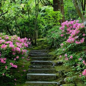 Meet your Posher, Nina